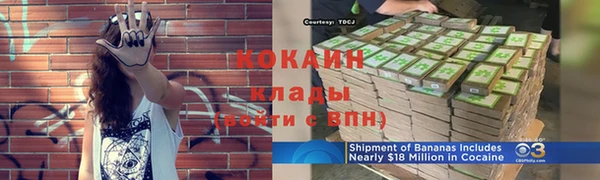 стафф Инта