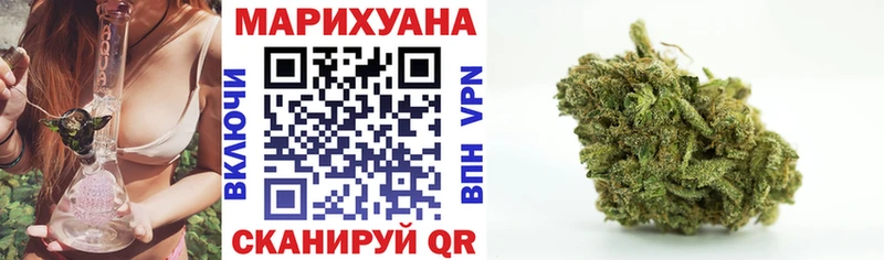 Конопля план  блэк спрут   Княгинино 